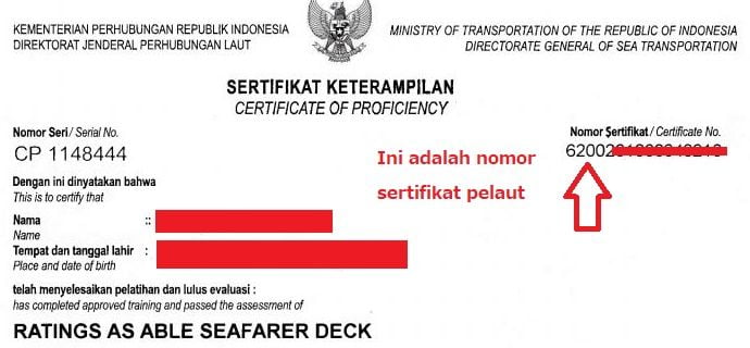 Cek nomor sertifikat pelaut