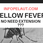 Tidak perlu memperpanjang Yellow fever