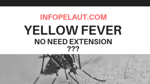 Tidak perlu memperpanjang Yellow fever