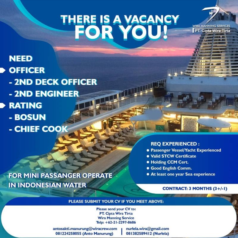 cruise vacancy