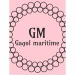 Gagol maritime security opc pvt.ltd